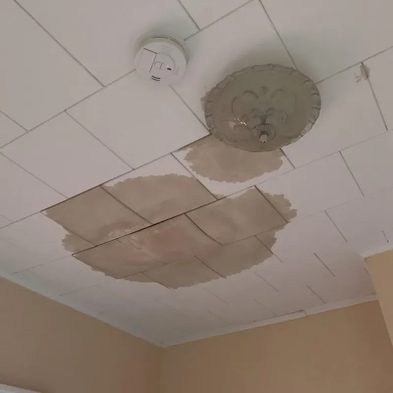 Ceiling Water Damage Repair in Port Ewen, NY